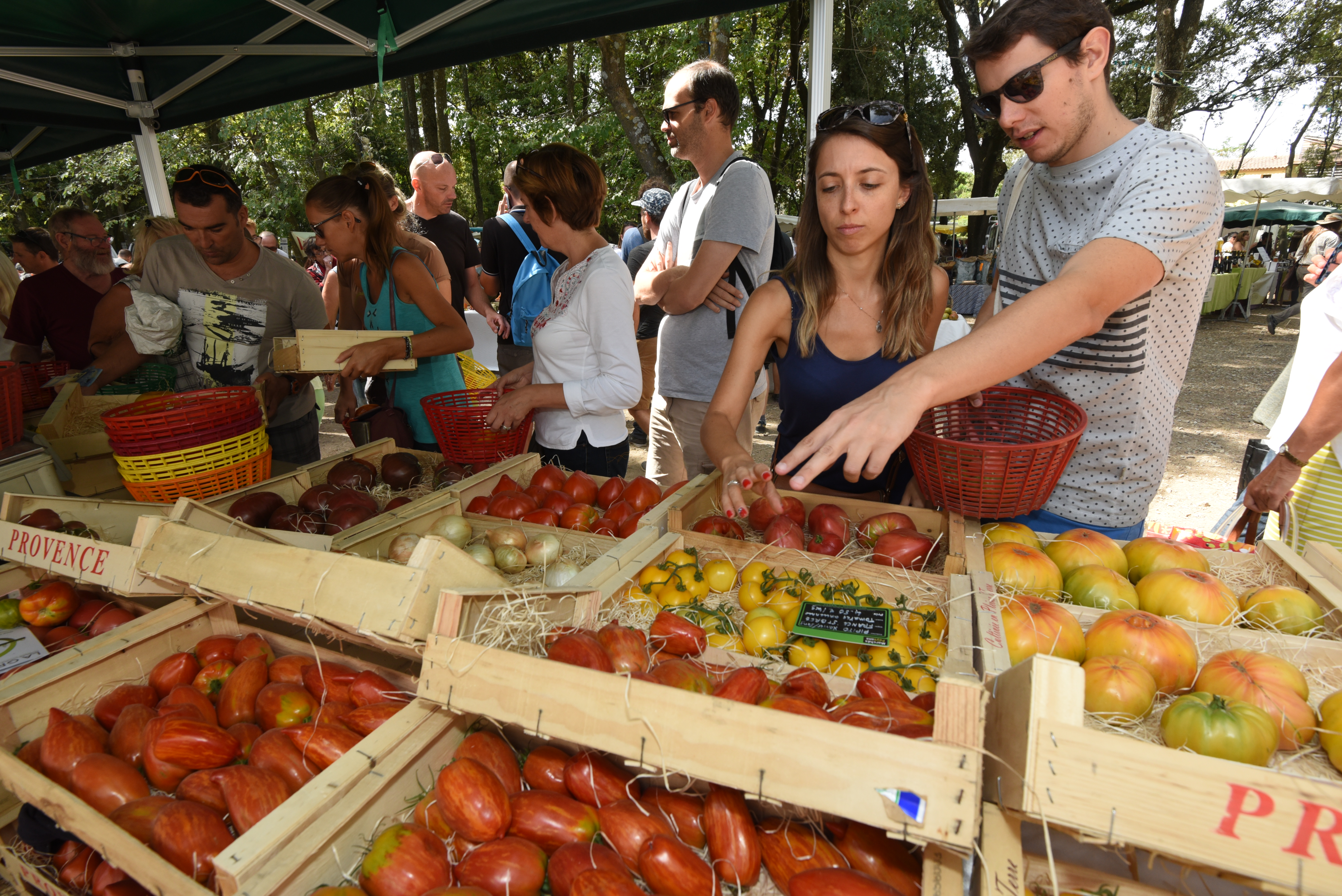 Le Festival de la Tomate à Clapiers.