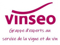 Vinseo - Grappe d'experts au service de la vigne & du vin