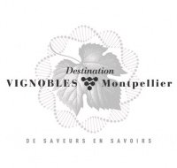 Logo Destination Vignobles