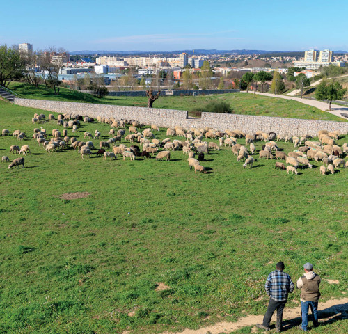 Assises territoriales de la transition agro-écologique et de l’alimentation durable