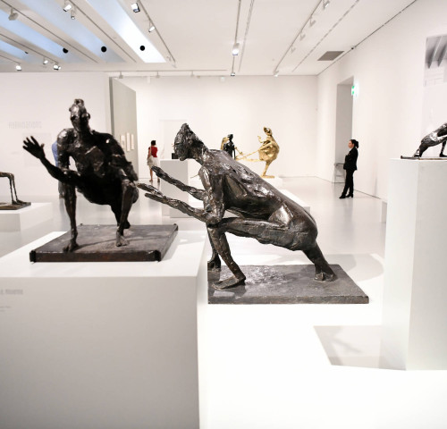 Musée Fabre ©3M
