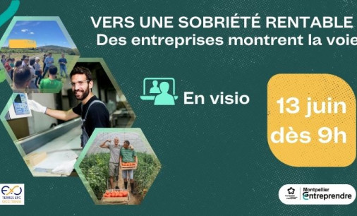 Vers une sobriété rentable : des entreprises montrent la voie