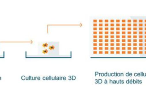 Représentation schématique de la bio impression 3D et bio imprimante 3D en action