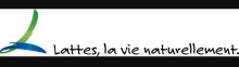 Lattes AAP