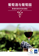vin-chine