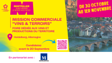 foire aux vins.