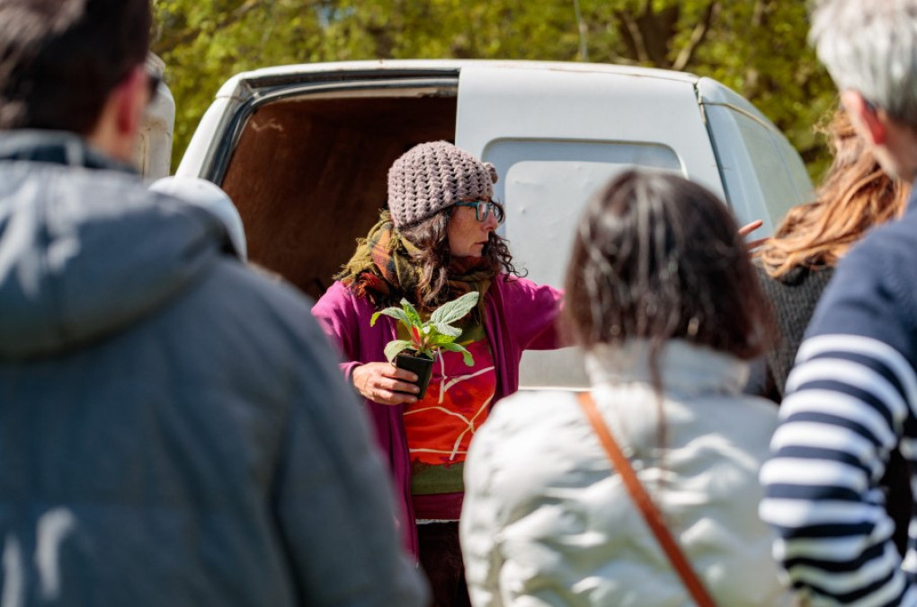 vis-actualite-permaculture.jpg