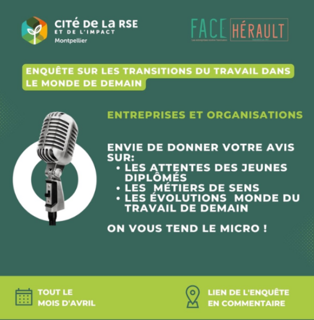 vis-cite-de-la-rse-et-de-limpact.png