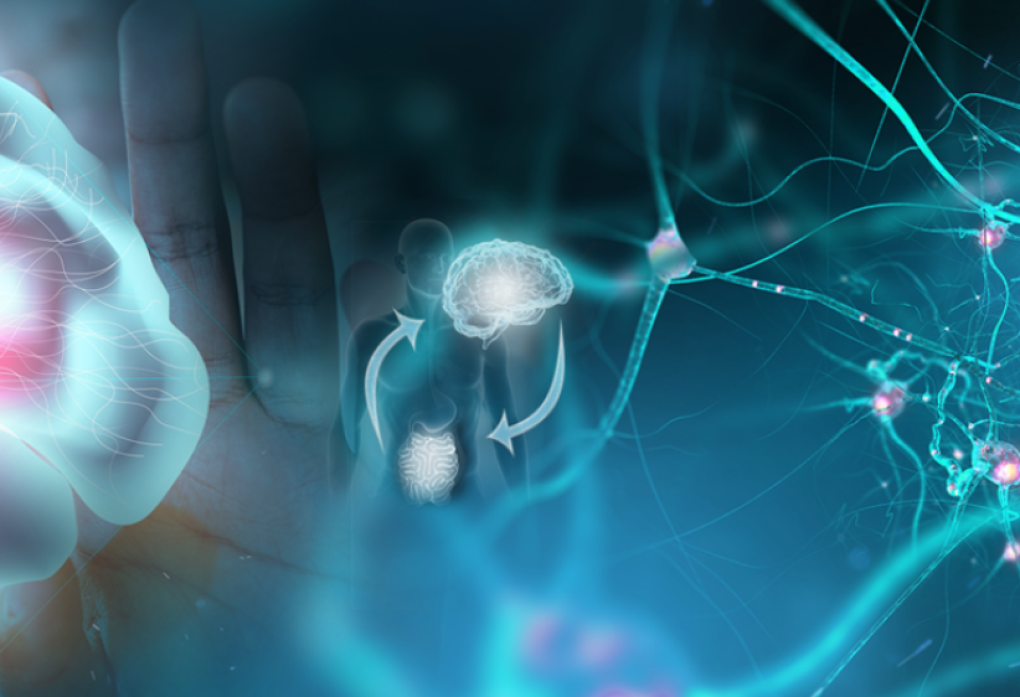 vis-regenlife-maladiedalzheimer.png